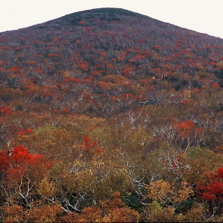 Ny Building 4Th Floor, Guest House Ichibangai, Roo / Vacation Stay 55905 Kitami Extérieur photo