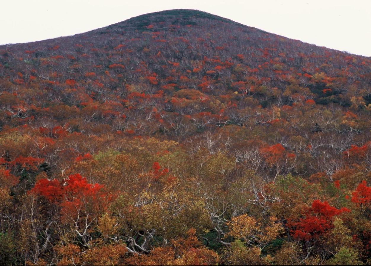 Ny Building 4Th Floor, Guest House Ichibangai, Roo / Vacation Stay 55905 Kitami Extérieur photo