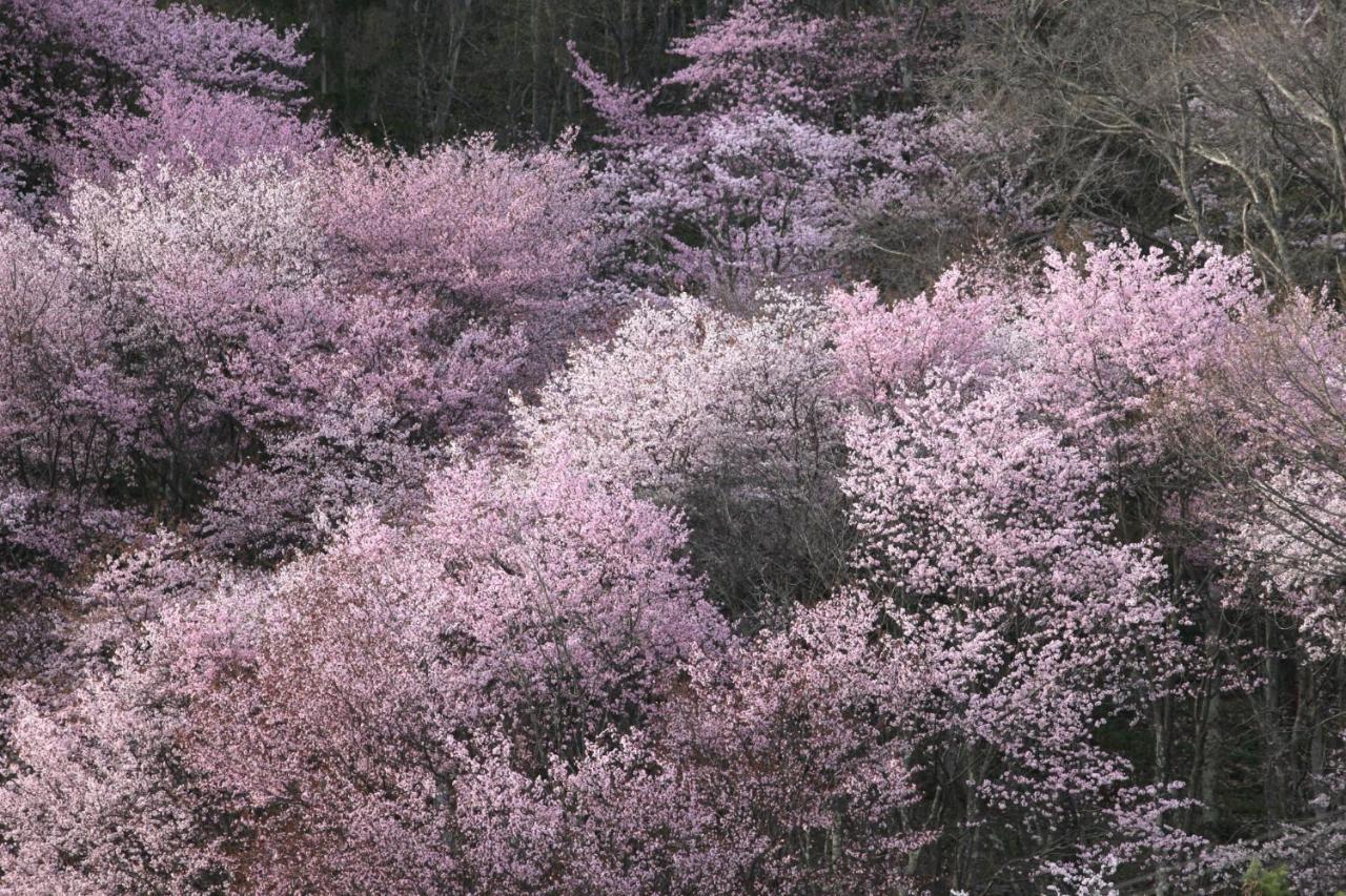 Ny Building 4Th Floor, Guest House Ichibangai, Roo / Vacation Stay 55905 Kitami Extérieur photo